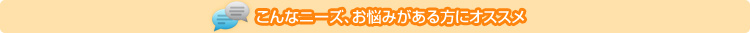 こんなニーズ、お悩みがある方にオススメ