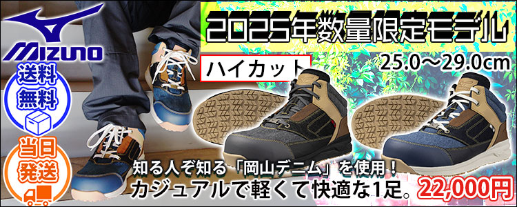 ズノ F1GA2516 安全靴 オールマイティ LSII 11M 2025年限定モデル