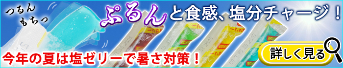 坂製菓 塩分チャージゼリー1袋500g 夏対策商品 熱中症対策