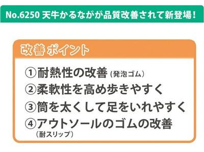 富士手袋工業 長靴 天牛かるなが RE-6250