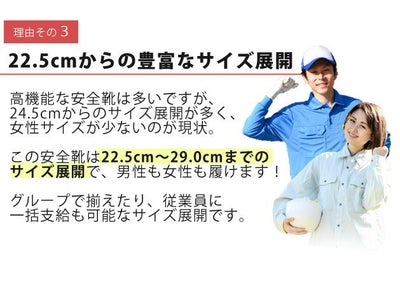 TryAnt トライアント 安全靴 アンジュセーフティ A-30