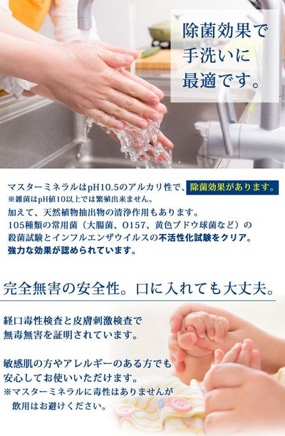 マスターミネラル マスターミネラル300ml 洗剤