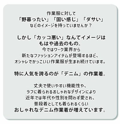 Charlie works(チャーリーワークス) 通年作業服 作業着 チャーリーカバーオールジャケット CHJ002-DNM