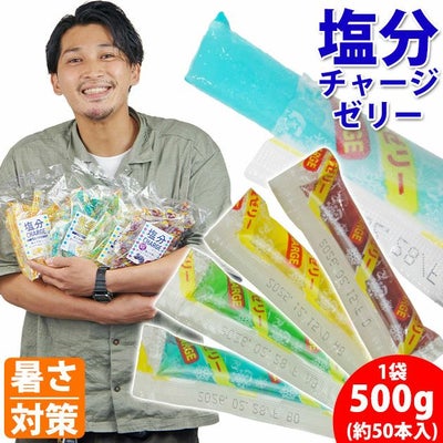 坂製菓 塩分チャージゼリー 1袋500g 塩ゼリー 夏対策商品 熱中症対策 選べる4つの味！