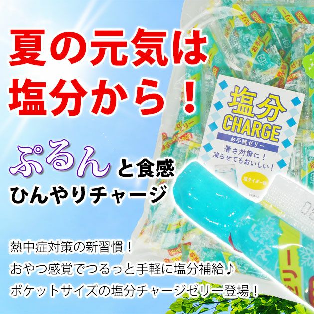 坂製菓 塩分チャージゼリー 1袋500g 塩ゼリー 夏対策商品 熱中症対策 選べる4つの味！