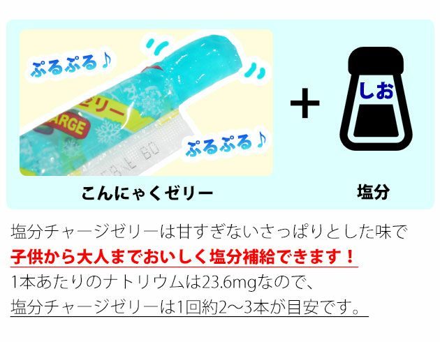 坂製菓 塩分チャージゼリー 1袋500g 塩ゼリー 夏対策商品 熱中症対策 選べる4つの味！