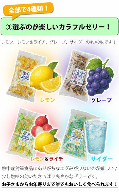坂製菓 塩分チャージゼリー 1袋500g 塩ゼリー 夏対策商品 熱中症対策 選べる4つの味！
