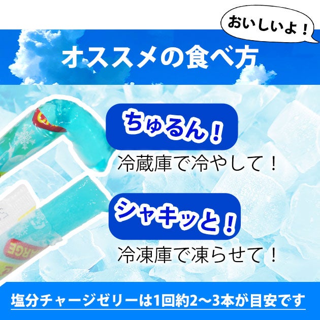坂製菓 塩分チャージゼリー 1袋500g 塩ゼリー 夏対策商品 熱中症対策 選べる4つの味！