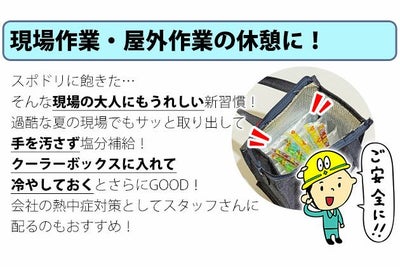 坂製菓 塩分チャージゼリー 1袋500g 塩ゼリー 夏対策商品 熱中症対策 選べる4つの味！