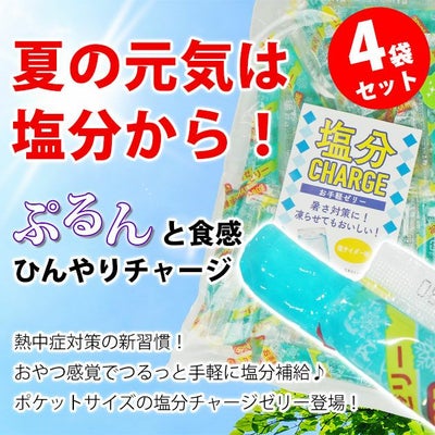 坂製菓 塩分チャージゼリー 4袋セット 塩ゼリー 夏対策商品 熱中症対策