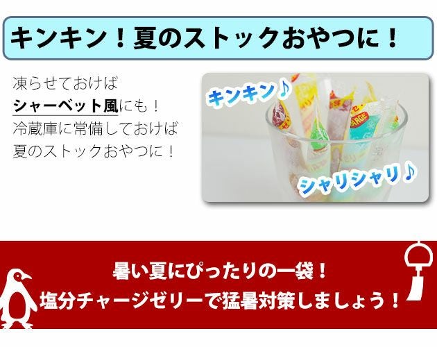 坂製菓 塩分チャージゼリー 4袋セット 塩ゼリー 夏対策商品 熱中症対策